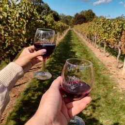 Walk around the vineyard