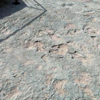 Mill Canyon Dinosaur Tracksite - Herbivore tracks - Hiking Near Me - Moab, Utah