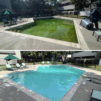 Caribbean Pool Service - Before and after treatment. Call us! - Pool Cleaners Near Me Caribbean Pool Service - Before and after treatment. Call us! - Pool Cleaners Near Me