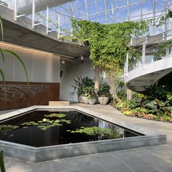 Crystal Bridge