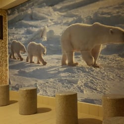 Palace Spa - Ice Room