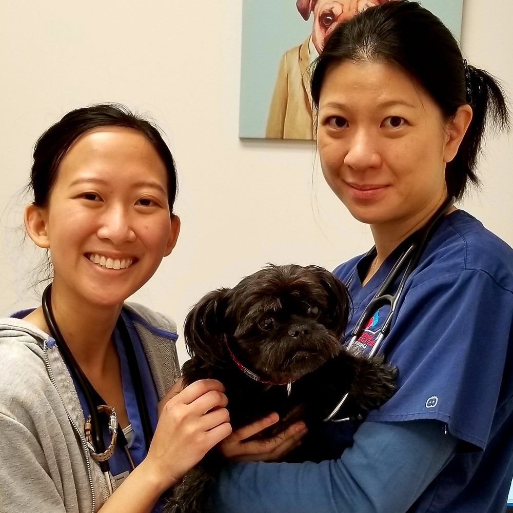 VETERINARY SPECIALTY GROUP OF GLENDORA 21 Photos & 31 Reviews