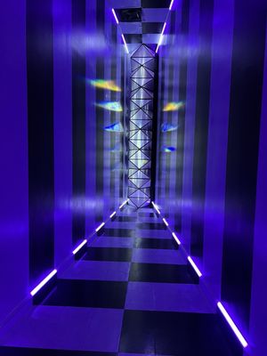 Meow Wolf Grapevine's The Real Unreal by null