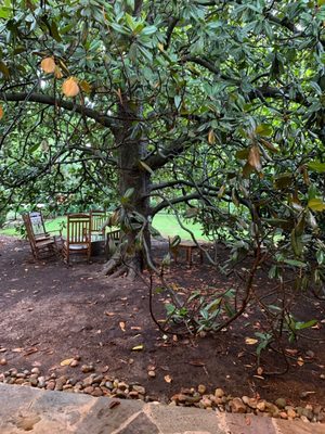 Belle Meade Historic Site & Winery by null