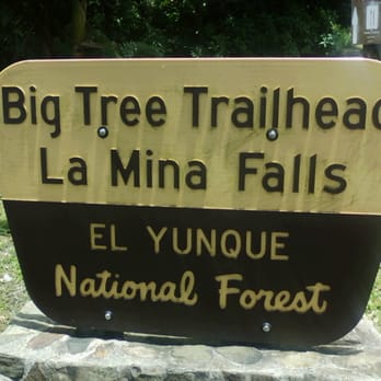El Yunque Rainforest - Hiking Near Me - Luquillo, Puerto Rico