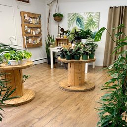 Plants galore
