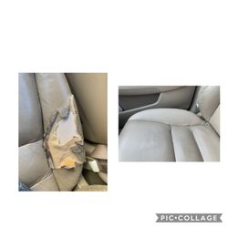 Upholstery Christ The King