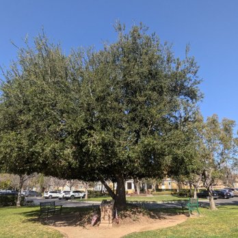 Harveston Lake Park - Playgrounds Near Me - Temecula, California Harveston Lake Park - Playgrounds Near Me - Temecula, California