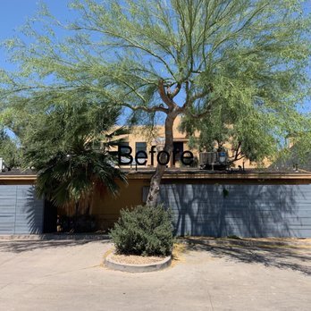 Happy Tree Landscaping - Before Happy Tree - Landscaping Near Me - Mesa, Arizona