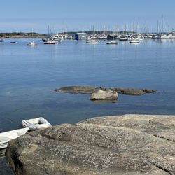 Gray Line Sightseeing Victoria - Oak Bag Marina.