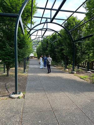 Meridian Hill Park by null