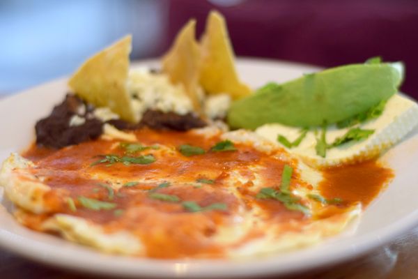 A Page In The Sun by null