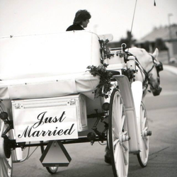 Rosewood Carriage Rides