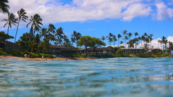 Napili Surf Beach Resort by null