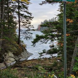 Pedego Electric Bikes Boothbay Harbor