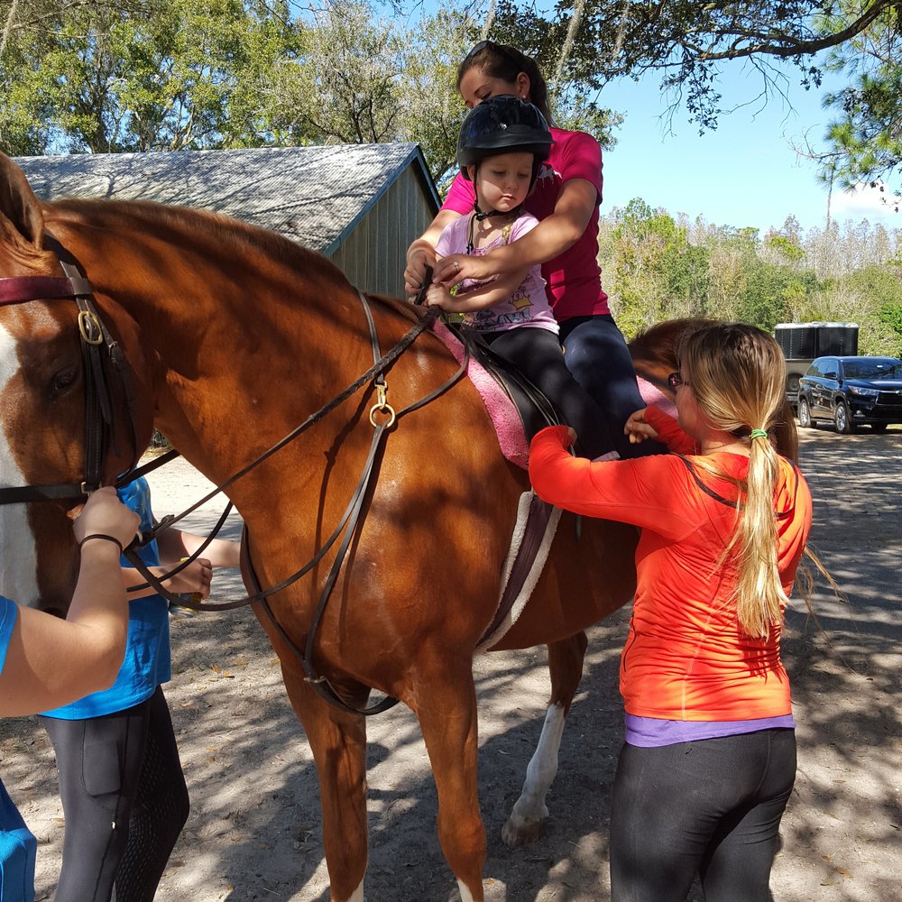Avalon Stables - Riding lessons for children starting at age 5 to Adults - Summer Camps Near Me - Lutz, Florida Avalon Stables - Riding lessons for children starting at age 5 to Adults - Summer Camps Near Me - Lutz, Florida
