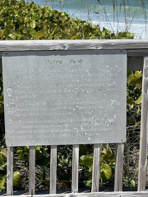 McLarty Treasure Museum by null