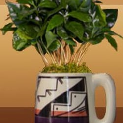 Organic Coffee Shop - Coffee in a mug