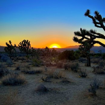 Joshua Tree National Park - Magnificent sunsets at the base of Ryan Mountain - Parks Near Me - Joshua Tree, California Joshua Tree National Park - Magnificent sunsets at the base of Ryan Mountain - Parks Near Me - Joshua Tree, California