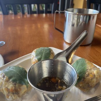 Tuk Tuk Thai Campbell - Spring bites - delicious!!! - Thai Near Me - Tucson, Arizona