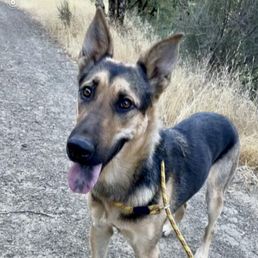 Our girl, Kelsey! Our girl, Kelsey!