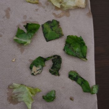 Jack in the Box - Rotten Leafs - Fast Food Near Me - Pittsburg, California Jack in the Box - Rotten Leafs - Fast Food Near Me - Pittsburg, California