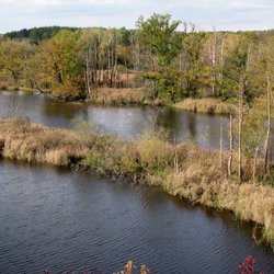 Nsg Köppchensee - Blick vom Hügel aus.