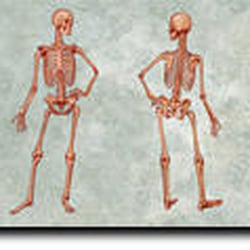 Cutler Ridge Family Chiropractic Center