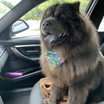 The Bark & Collar - Pet Groomers Near Me - Poway, California