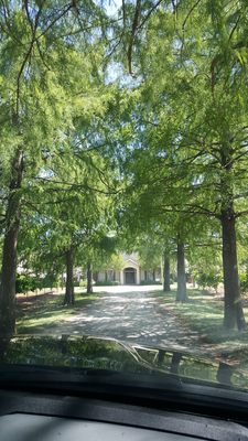 Fall Creek Vineyards - Tow by null