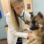 Seville Veterinary Hospital