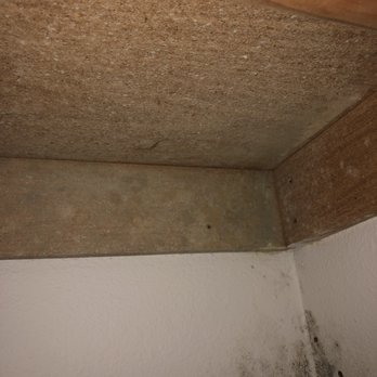 Forest Edge - Underneath the shelf - Apartments Near Me - Oregon City, Oregon