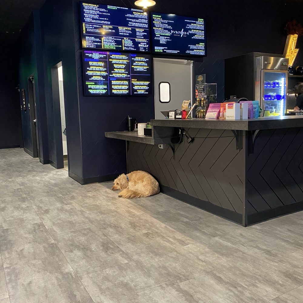 Burnside Coffee Bar - Dog! - Coffee & Tea Near Me - Sacramento, California Burnside Coffee Bar - Dog! - Coffee & Tea Near Me - Sacramento, California