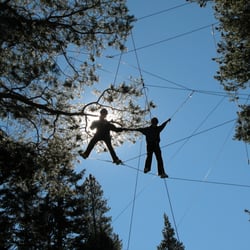 Project Discovery