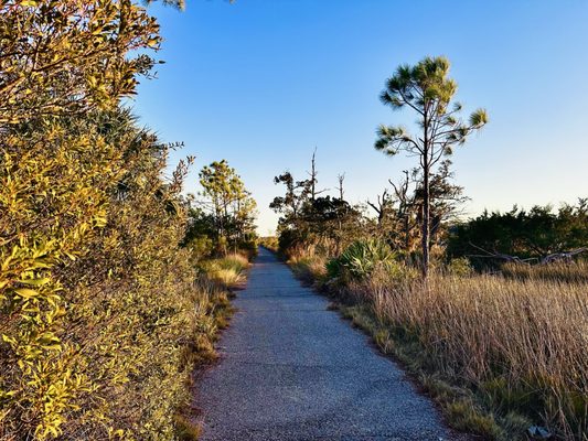 Jekyll Island by null