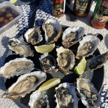 Hog Island Oyster - Shucked the oysters on the beach in Dillon and had a picnic - Seafood Near Me - Marshall, California Hog Island Oyster - Shucked the oysters on the beach in Dillon and had a picnic - Seafood Near Me - Marshall, California
