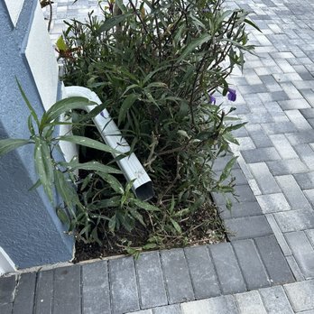 Budget Gutters - Gutter Services Near Me - Fort Pierce, Florida Budget Gutters - Gutter Services Near Me - Fort Pierce, Florida