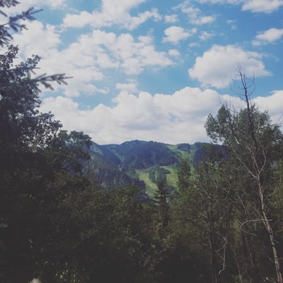 Hunter Creek Trail Head by null