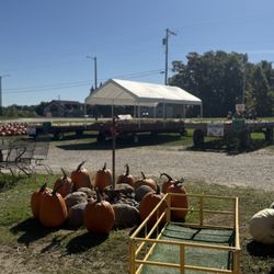 Silver Spring Pumpkin Farm - Pumpkins
