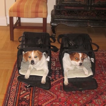 DogRelations NYC - New York City Crate Training for Dogs - Pet Training Near Me - New York, New York DogRelations NYC - New York City Crate Training for Dogs - Pet Training Near Me - New York, New York