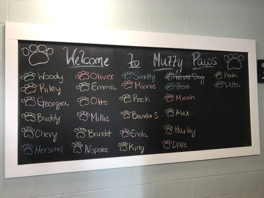 Mutty Paws MUTTY PAWS - Updated June 2026 - 415 Louis Parker Rd, Dublin, Georgia ...