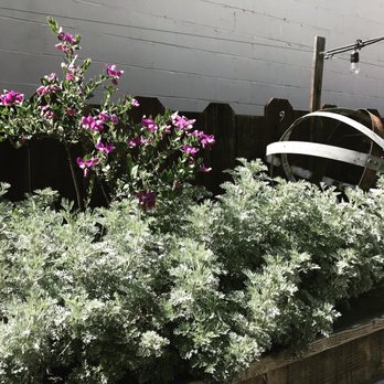 Devout Coffee - Coffee Roasteries Near Me - Fremont, California