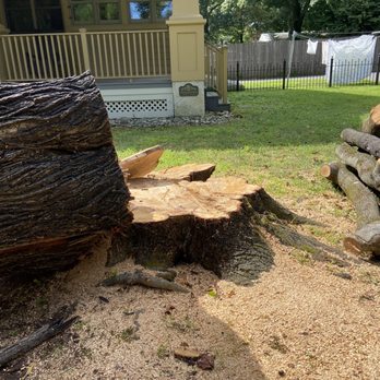 Strobert Tree Services - For 2 weeks, my yard had tree stump & logs lying about - Tree Services Near Me - Wilmington, Delaware Strobert Tree Services - For 2 weeks, my yard had tree stump & logs lying about - Tree Services Near Me - Wilmington, Delaware