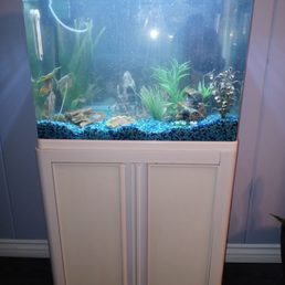 My small tank My small tank
