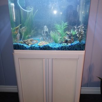 The Pet Shop - My small tank - Local Fish Stores Near Me - San Bernardino, California The Pet Shop - My small tank - Local Fish Stores Near Me - San Bernardino, California