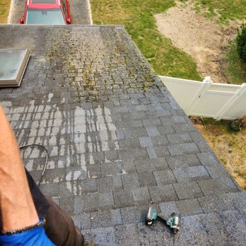 Frank'll Fix It - Carefully removing growth and rejuvenate roof - Home Cleaning Near Me Frank'll Fix It - Carefully removing growth and rejuvenate roof - Home Cleaning Near Me