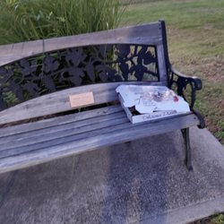 Dumont Arboretum - People are still littering here and nothing is being done about it