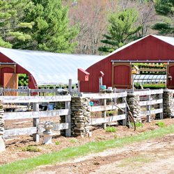 Foster Hill Farm