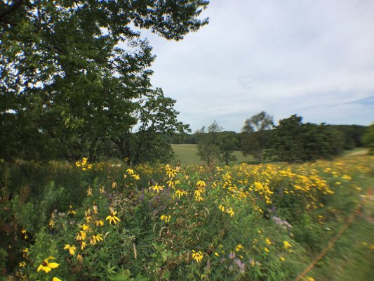 Pope Farm Conservancy by null