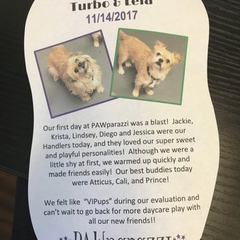 Pawparazzi Pet Resort - Puppy report for Leia & Turbo! - Pet Training Near Me - Los Angeles, California Pawparazzi Pet Resort - Puppy report for Leia & Turbo! - Pet Training Near Me - Los Angeles, California